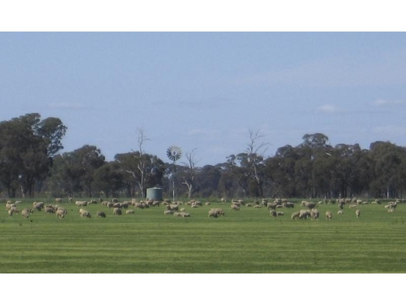 Peechelba East VIC 3678