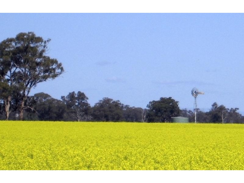 Peechelba East VIC 3678