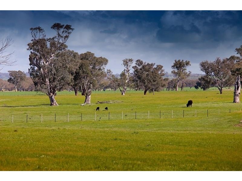 243 Fielder-Moll Road, Gerogery NSW 2642