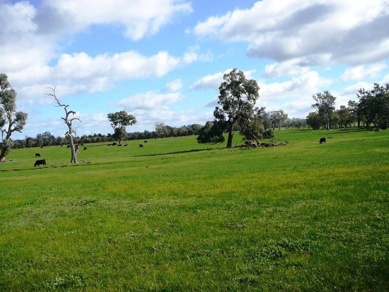 243 Fielder-Moll Road, Gerogery NSW 2642