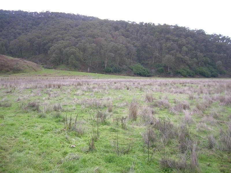 Lot 5/ Omeo Highway, Tallandoon VIC 3700
