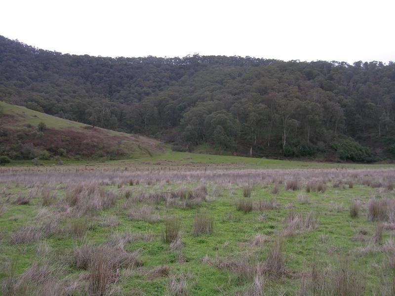 Lot 5/ Omeo Highway, Tallandoon VIC 3700