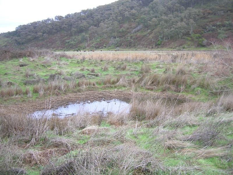 Lot 5/ Omeo Highway, Tallandoon VIC 3700