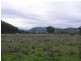 Lot 5/ Omeo Highway, Tallandoon VIC 3700