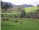 129 Wises Creek Road, Talgarno VIC 3691
