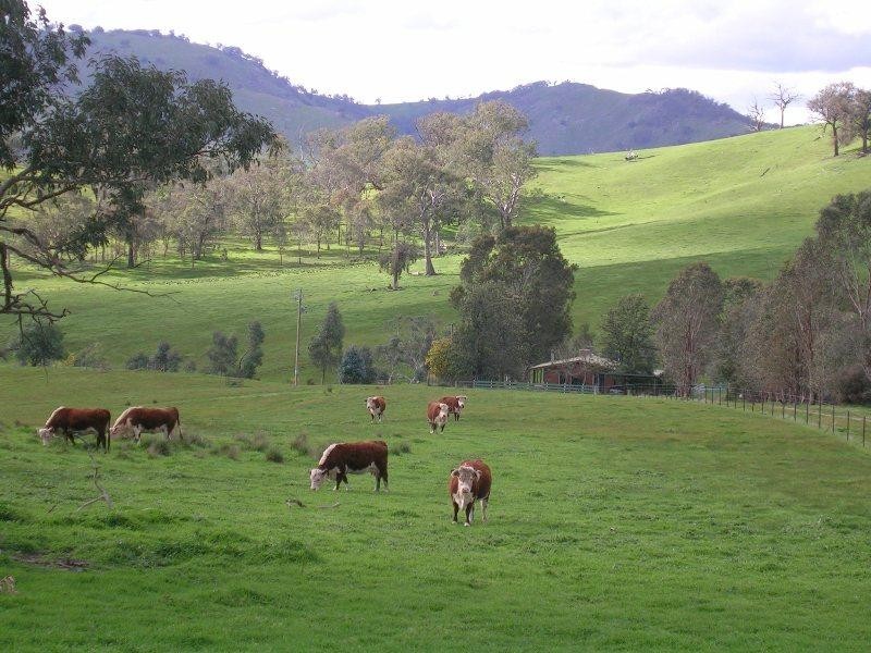 129 Wises Creek Road, Talgarno VIC 3691