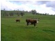 129 Wises Creek Road, Talgarno VIC 3691