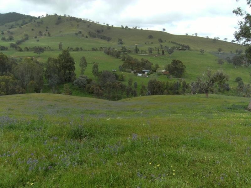 129 Wises Creek Road, Talgarno VIC 3691