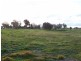 Barnawartha VIC 3688