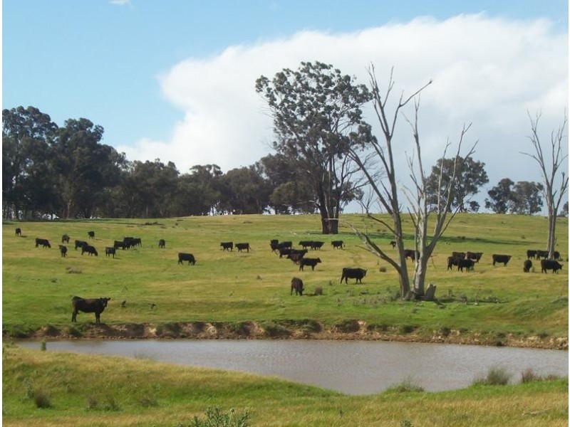 Chiltern Valley VIC 3683