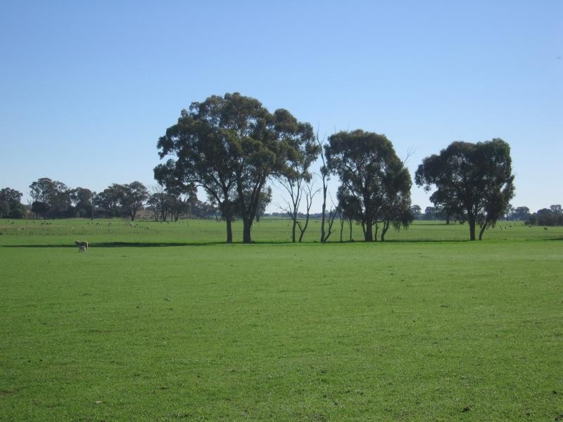 Wodonga VIC 3690