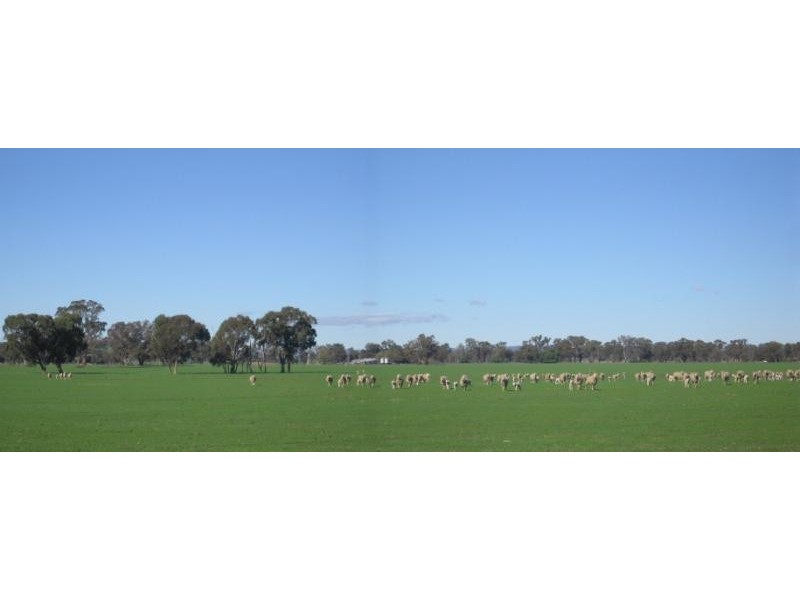 Wodonga VIC 3690