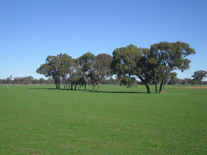 Wodonga VIC 3690