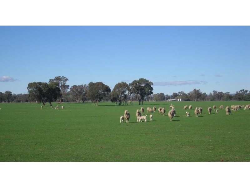 Wodonga VIC 3690
