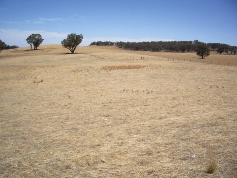 207 Parkins Road, Rutherglen VIC 3685