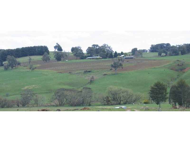Tumbarumba NSW 2653