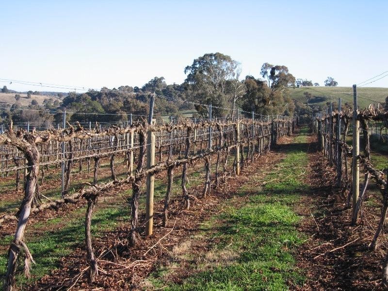 Tumbarumba NSW 2653