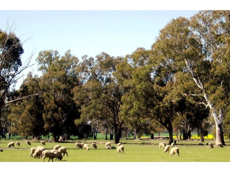 Peechelba East VIC 3678