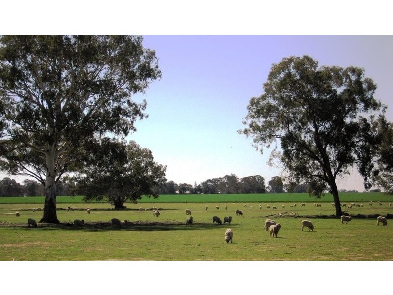 Peechelba East VIC 3678