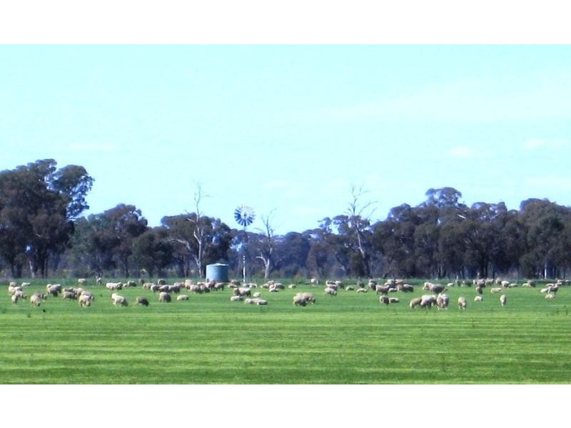 Peechelba East VIC 3678