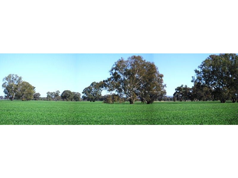 Peechelba East VIC 3678