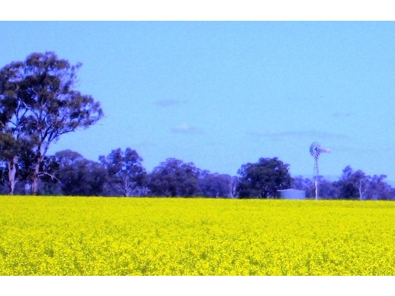 Peechelba East VIC 3678