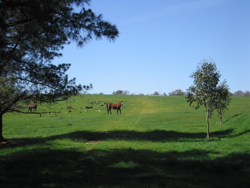 Gerogery NSW 2642