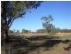 Gerogery NSW 2642