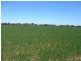 Daysdale NSW 2646