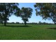 Daysdale NSW 2646