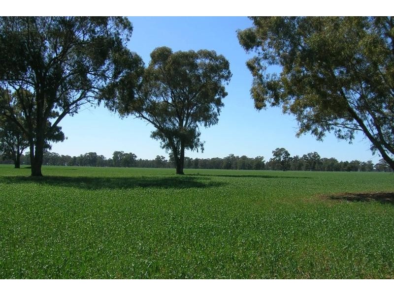 Daysdale NSW 2646
