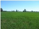Daysdale NSW 2646