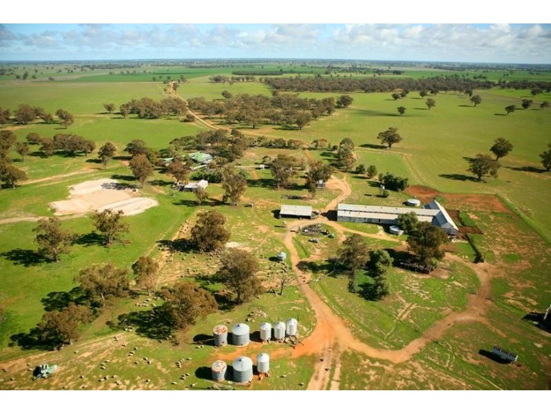 Daysdale NSW 2646