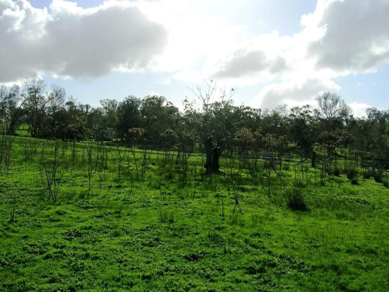 3 and 4 Sarah Street, Gerogery NSW 2642