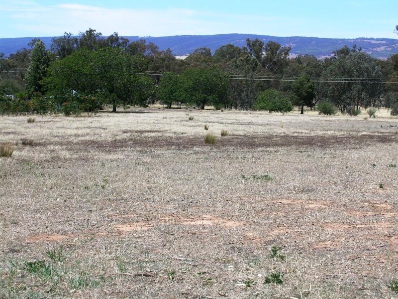 3 and 4 Sarah Street, Gerogery NSW 2642