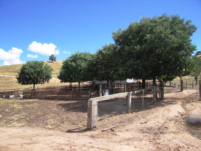 Wymah NSW 2640