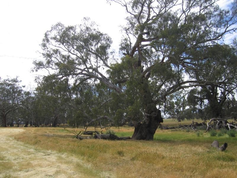 Walbundrie NSW 2642