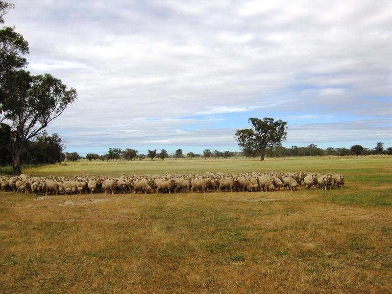 Walbundrie NSW 2642