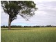 Walbundrie NSW 2642
