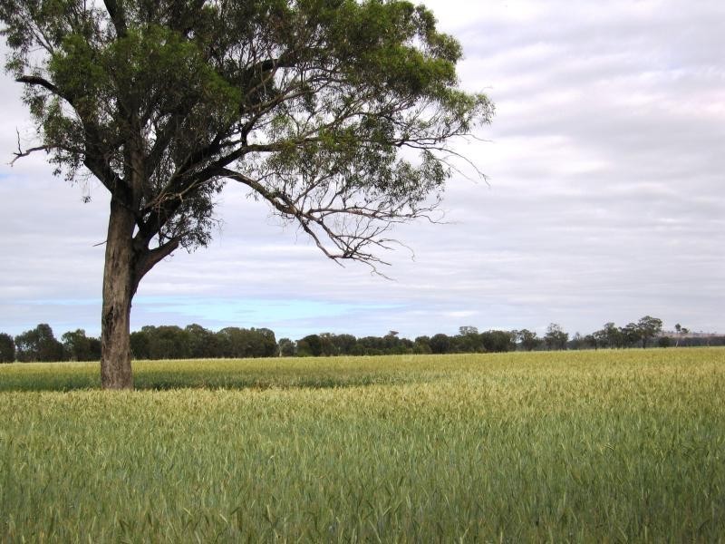 Walbundrie NSW 2642