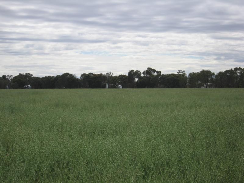 Walbundrie NSW 2642