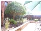 92 Belmore Street, Yarrawonga VIC 3730