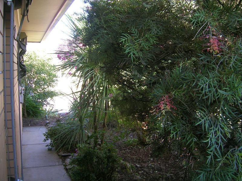 6/4 Huon Kiewa Road, Tangambalanga VIC 3691