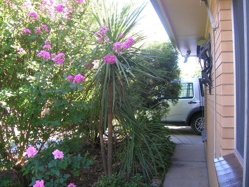 6/4 Huon Kiewa Road, Tangambalanga VIC 3691