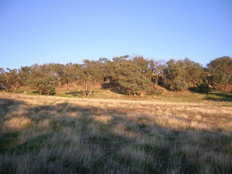 Springhurst VIC 3682