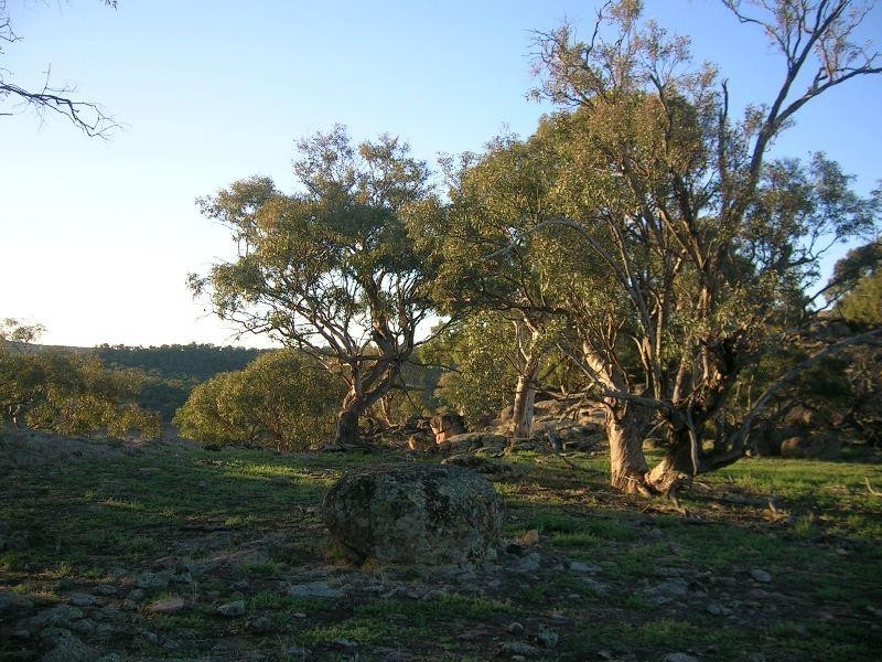 Springhurst VIC 3682