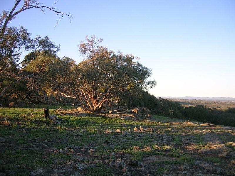 Springhurst VIC 3682