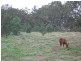 Walbundrie NSW 2642