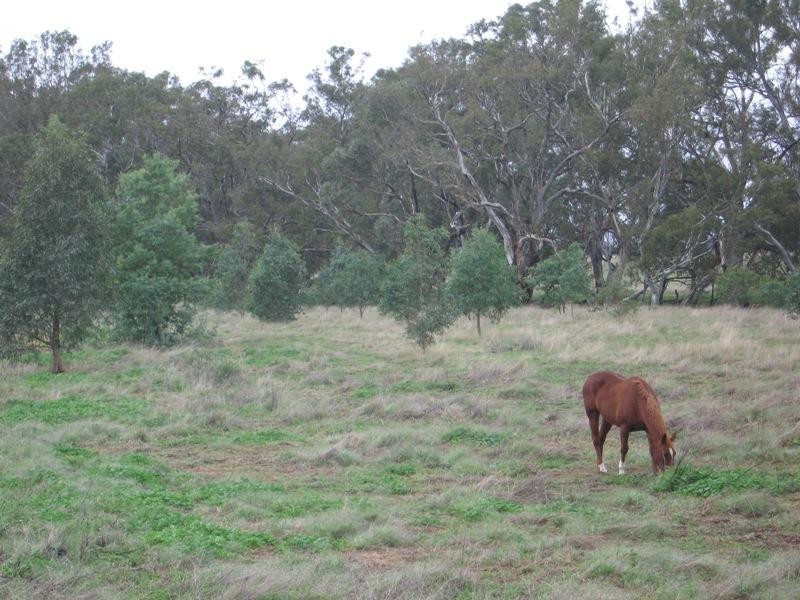 Walbundrie NSW 2642