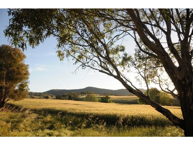 537 Plunketts Road, Wodonga VIC 3690